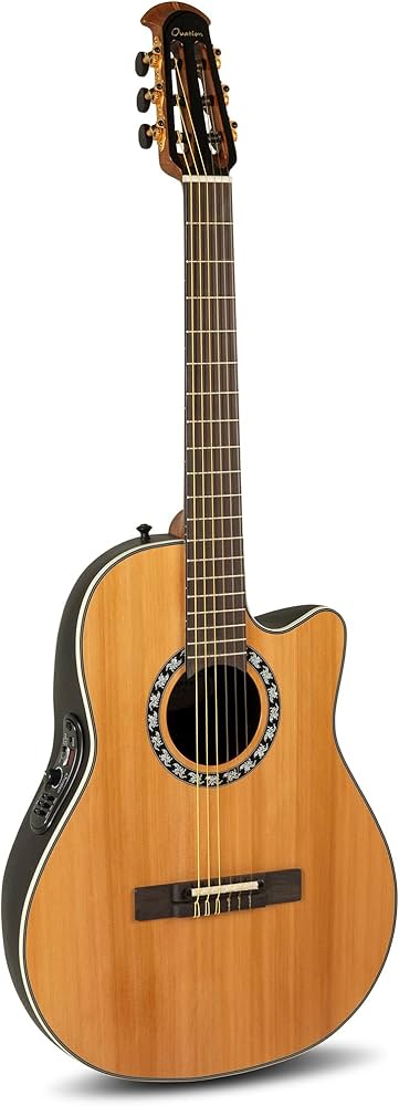 Amazon.com: Ovation Pro Series Classic - 1773AX-4-G