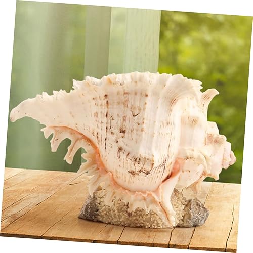 Miniatura 3 de Garneck 4pcs Conch Ornaments Sea Shells for Decorating Fish Tank Conch Decoration Fish Tank Conch Ornament Sea Shell Charms Decoraciones para Salas