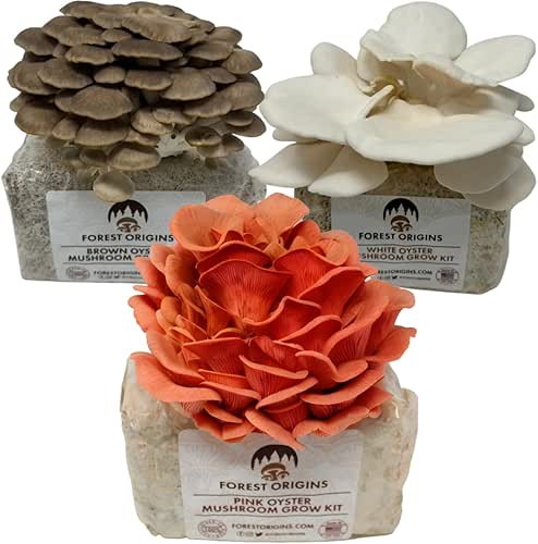 Forest Origins Specialty Trio Oyster Mushroom Grow Kit 3-Pack Variety