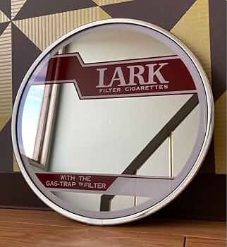 61dXMVGs8uL._AC_UF350,