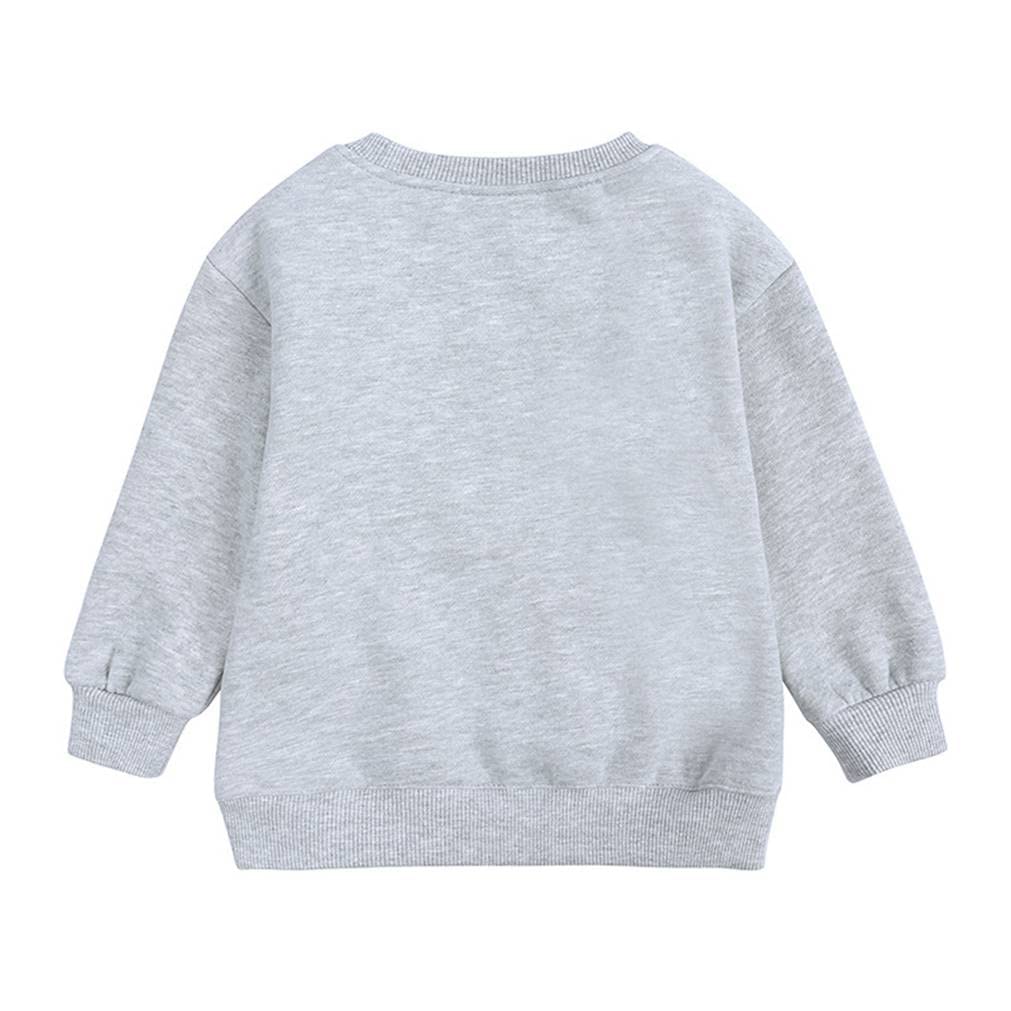 LNICAER Toddler Kids Baby Boys Girls Crewneck Pullover Sweatshirt Fleece Solid Color Coat Warm Fall Winter Clothes Grey 12-24 Months