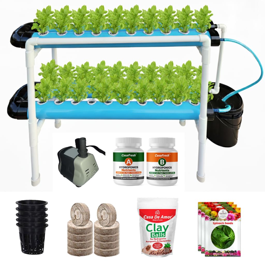 Casa De Amor Hydroponics Kit for Home & Office, 40 Plant NFT System, Seed to Harvest Complete Solution (40 Plants, Sky Blue)-image-18