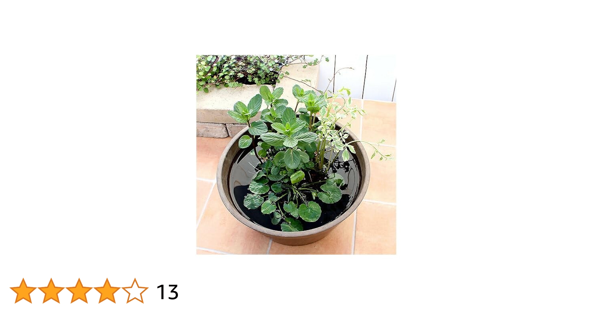 完売品 moontreeplanet too ビスチェ biotop yo 本当に 安い 通販ファッション - 完売品 moontreeplanet too