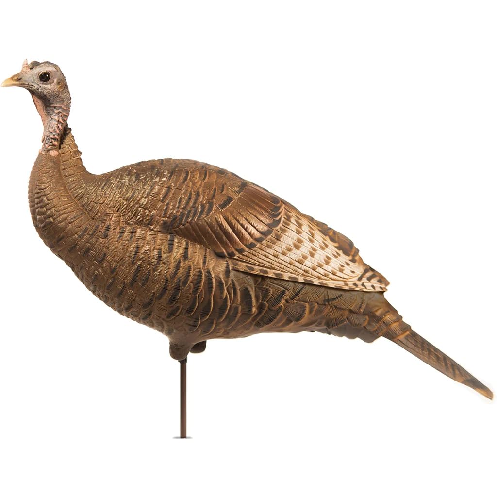 Best Hunting Gear Award Winners: Field-Tested Picks Dave Smith