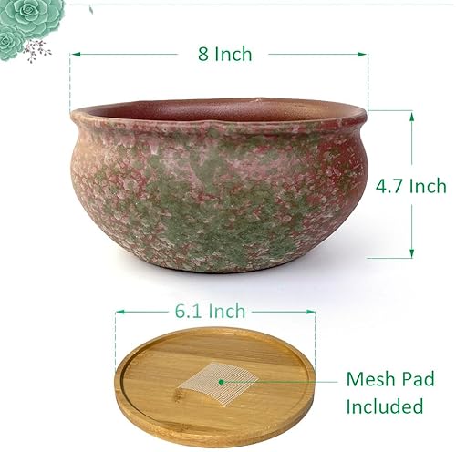 Miniatura 14 de Maceta redonda de terracota esmaltada de 8 pulgadas para suculentas, maceta redonda de cerámica con drenaje y platillo, maceta de arcilla de cactus