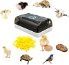 12 Egg Incubator Fully Automatic Brooding Machine for Silkies with 100pcs Chicks Glasses Eggs Candler Auto Turning Incubator Bird Hatching Machine for Hatching Beginner