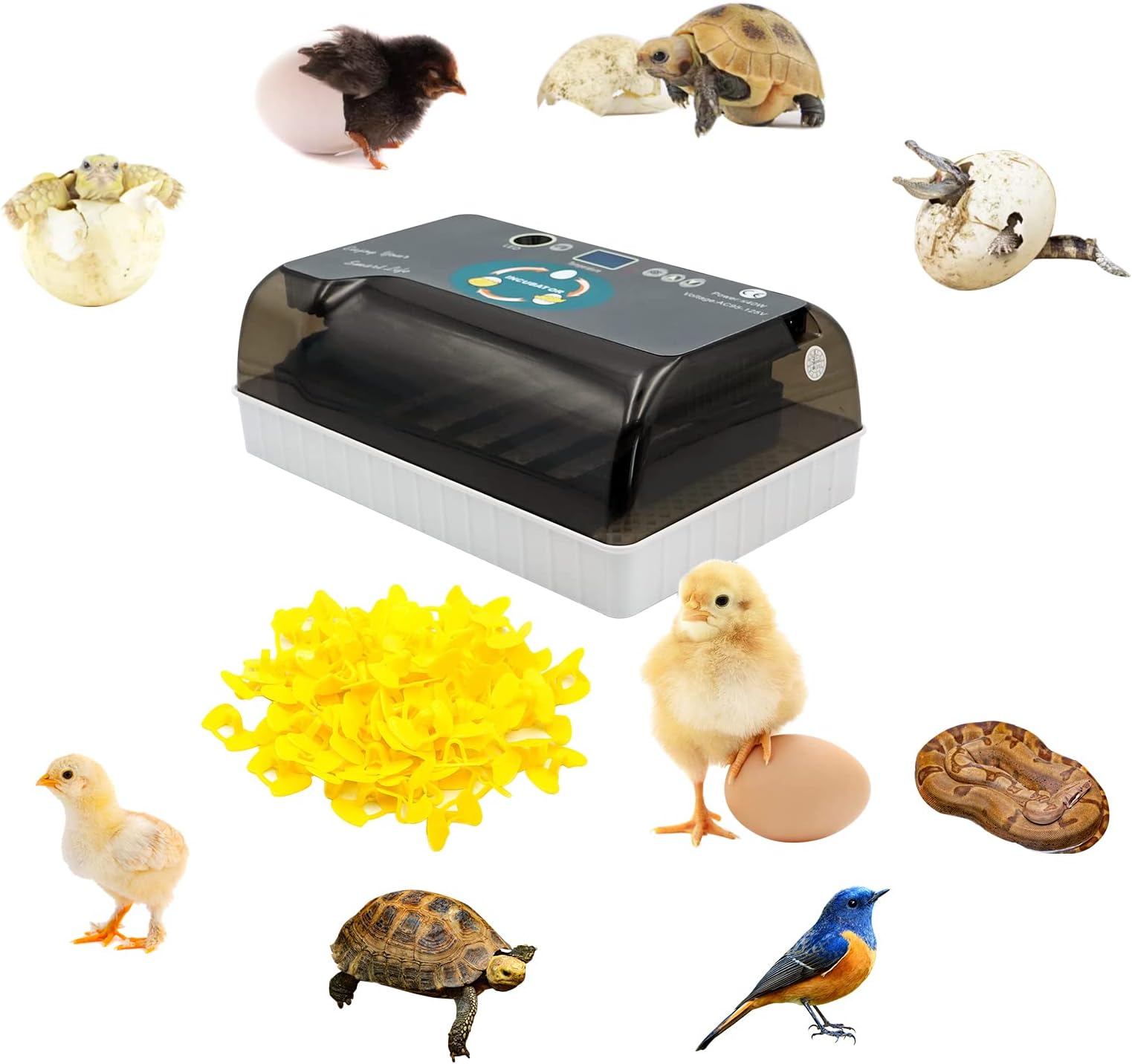 12 Egg Incubator Fully Automatic Brooding Machine for Silkies with 100pcs Chicks Glasses Eggs Candler Auto Turning Incubator Bird Hatching Machine for Hatching Beginner