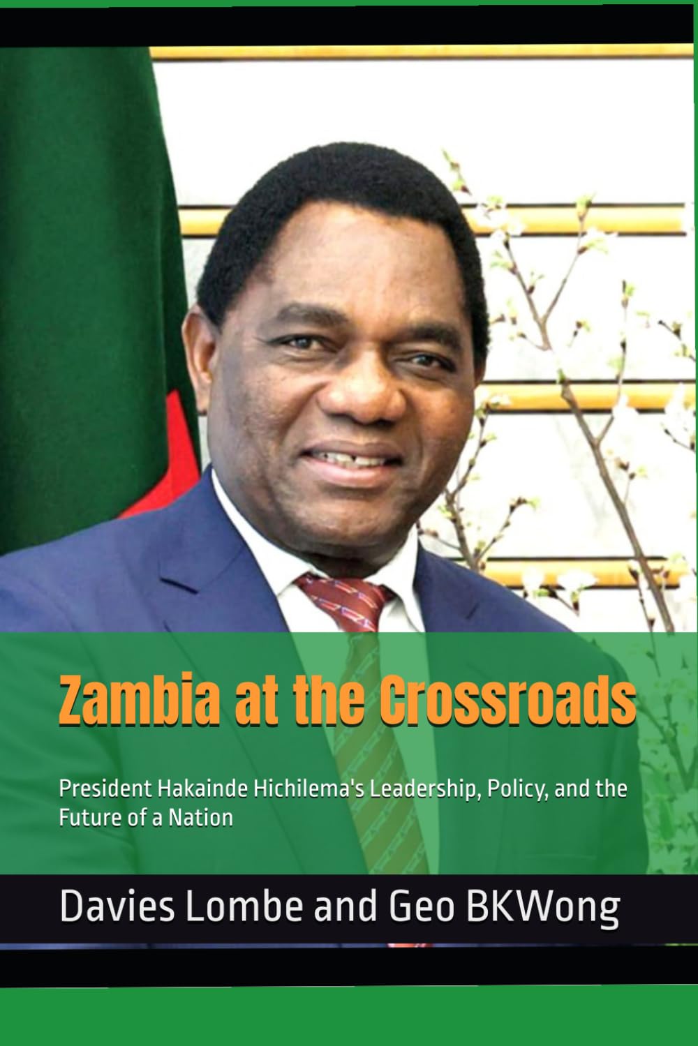 Zambia at the Crossroads: President Hakainde Hichilema's Leadership, Policy, and the Future of a Nation
