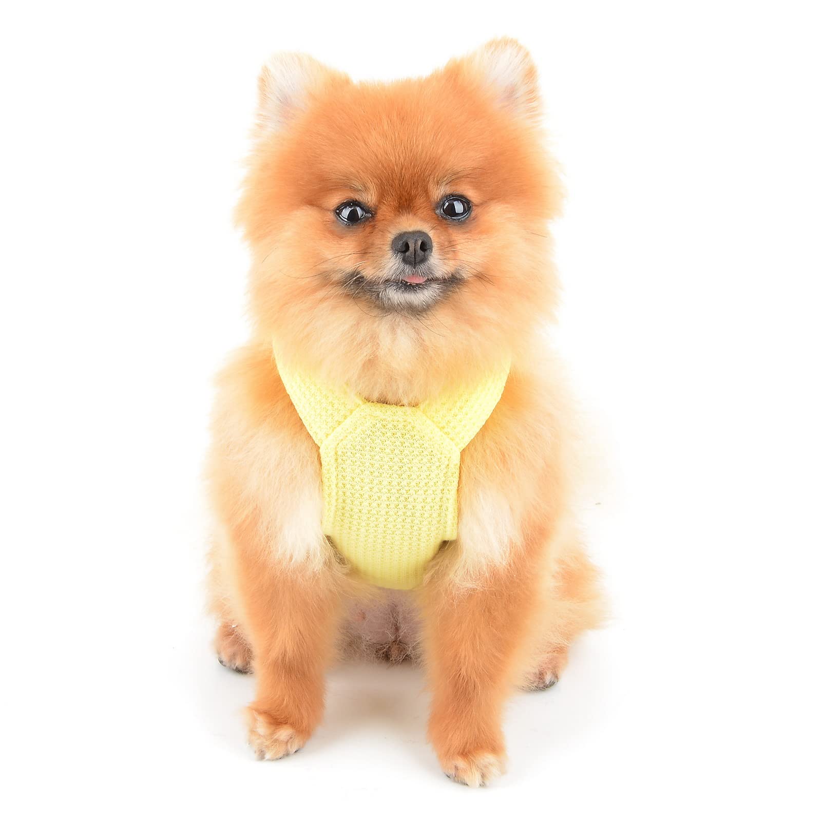 Amazon | SMALLLEE_LUCKY_STORE 犬 服 小型犬 春 夏 かわいい 子熊 