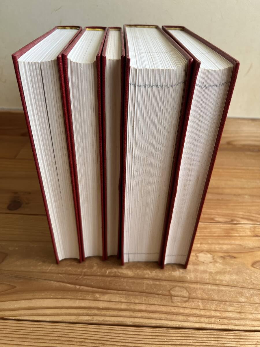 Amazon.co.jp: レオナルド ダヴィンチ マドリッド手稿 全5巻 岩波書店