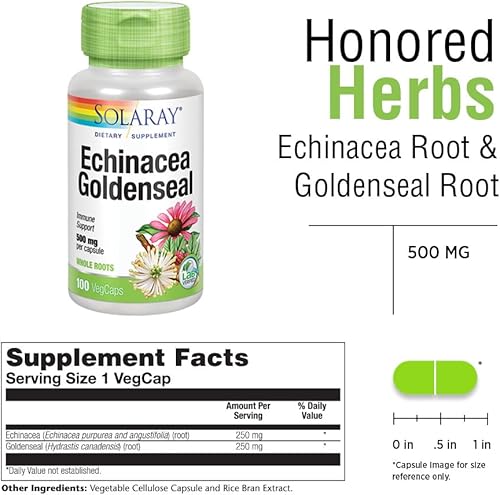 Miniatura 3 de SOLARAY Raíz de equinácea y raíz de sello de oro de 500 mg | Apoyo saludable del sistema inmunológico y respiratorio | Sin OMG, vegano y verificado