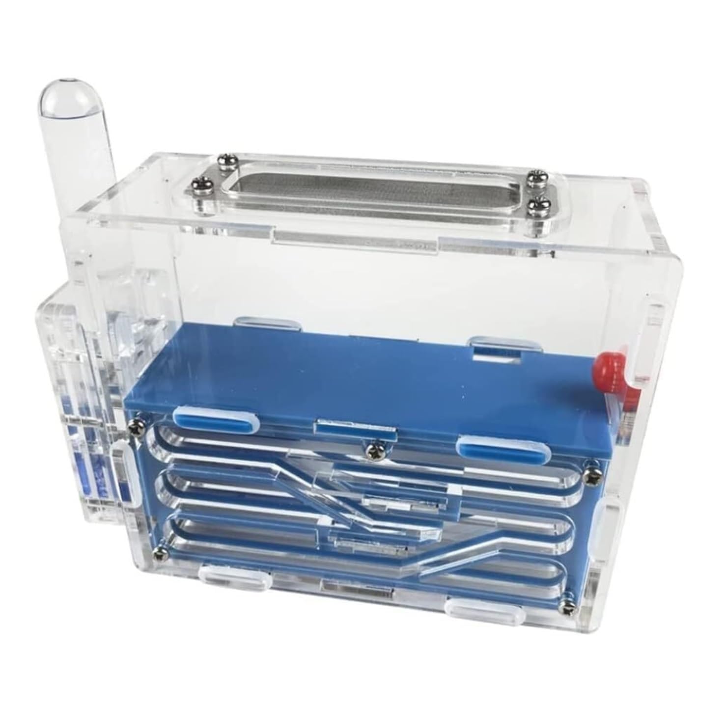 esmen Castello di formicaio in Acrilico: Nido di osservazione scientifica Fai-da-Te, Habitat da Laboratorio for formiche Vive, Giocattolo educativo STEM Casetta per Animali(Blauw)