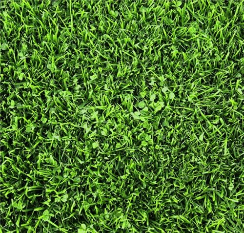 Hancock's Microlawn Seed Mix - 10 libras.