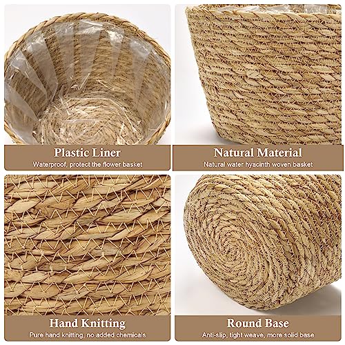 Athaliah Plant Basket, 3 Pcs Plant Baskets Indoor With Plastic Liner, Water Hyacinth Woven Planters Flower Basket thumb #2