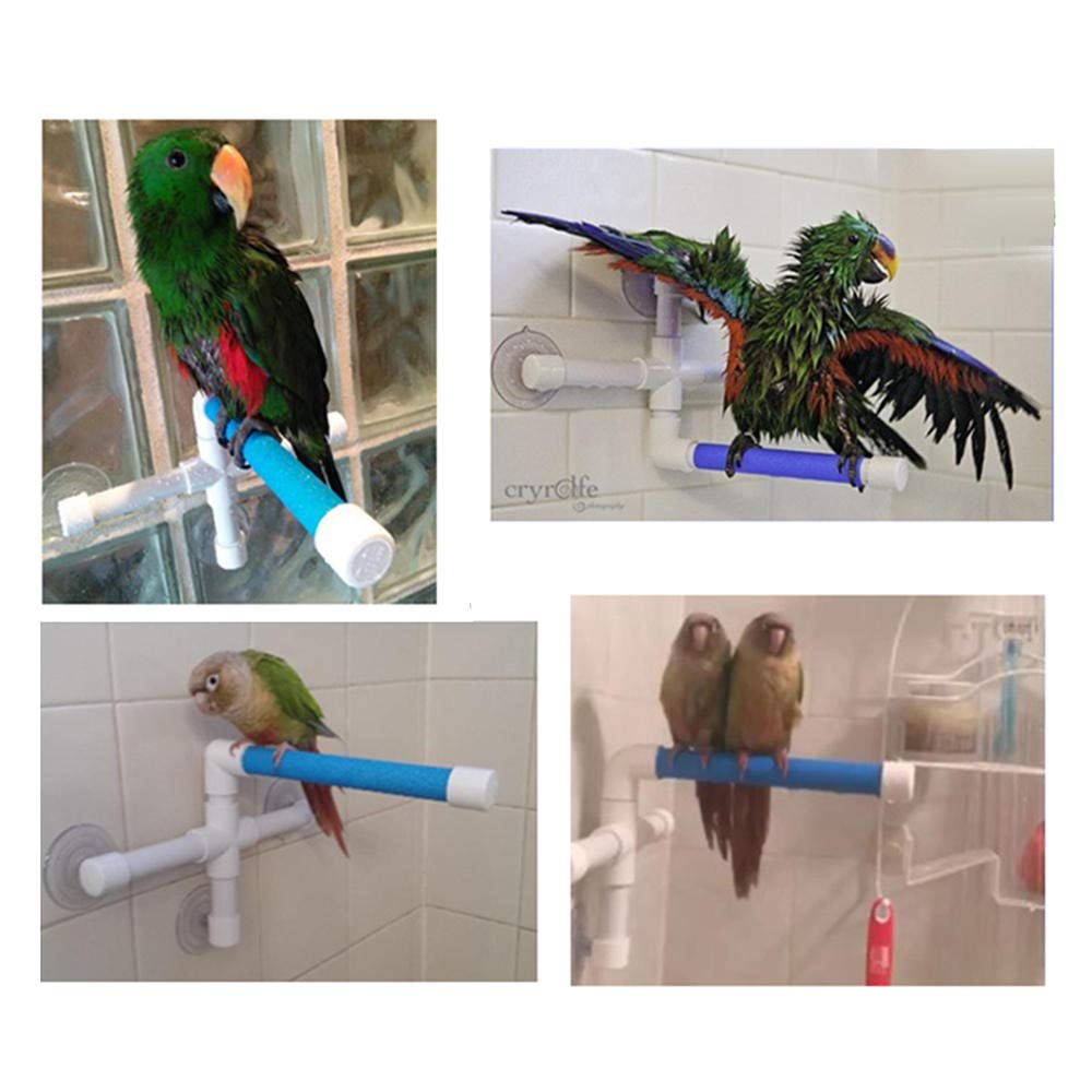 Vogelstangen Papagei Ständer Stick Rack Barsch Barsche Stehplattform Rack Wand Saugnapf Papagei Budge Paw Schleifständer 5St
