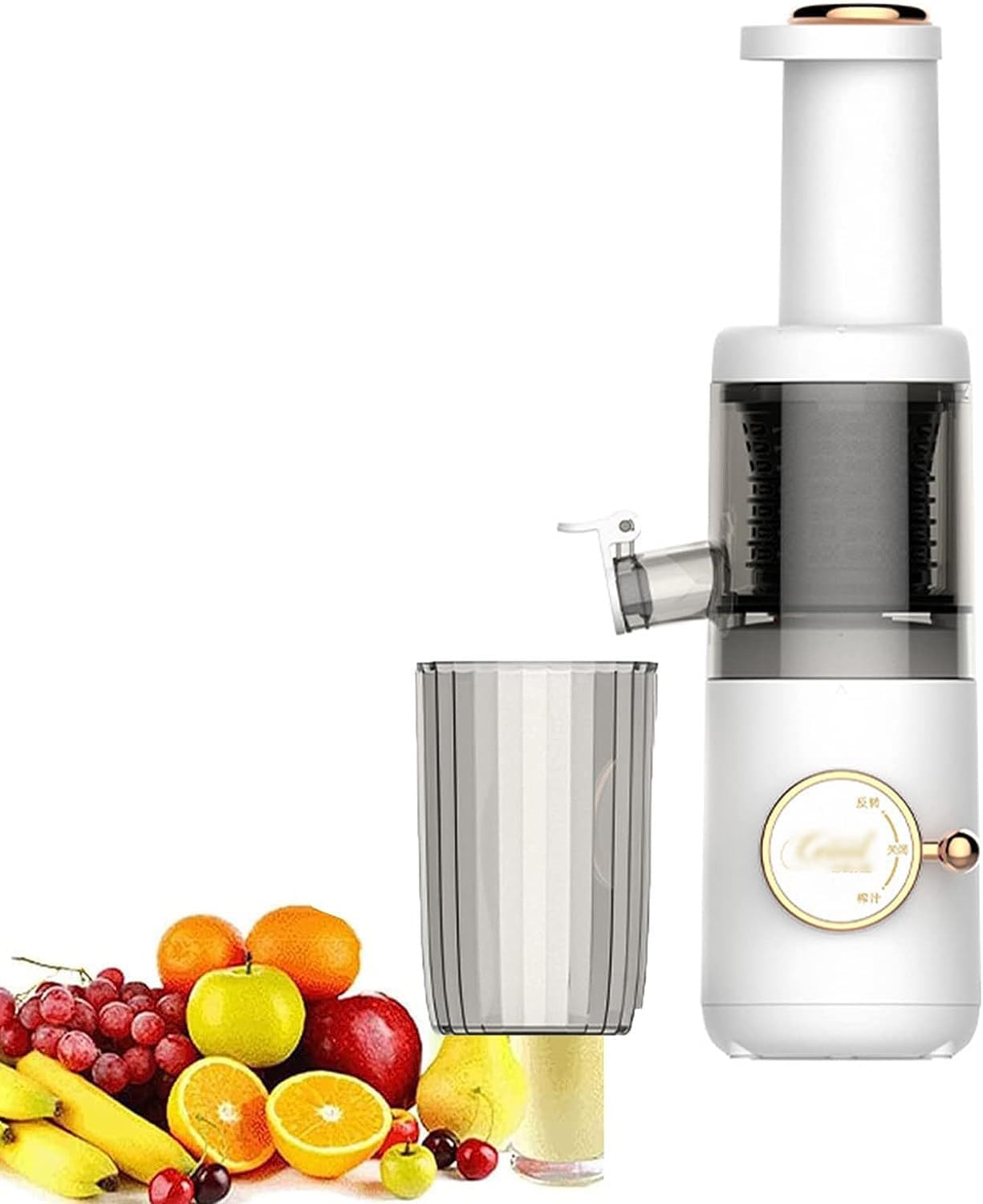 Extractor de Jugos Prensado Frío 120W Función Reversa y Fácil Limpieza