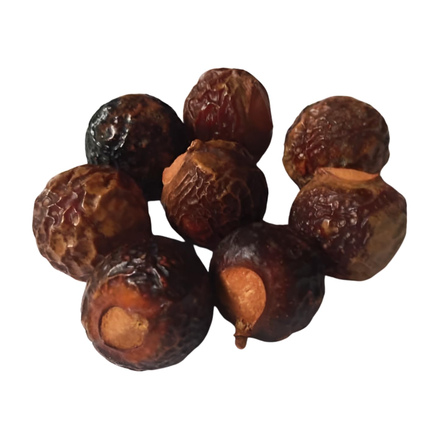 Vinarghya – Bada Reetha/Organic Big Ritha/Areetha/Herbal Soap Nut/Kunkudukai/Sapindus Mukorossi – 900g-image-10