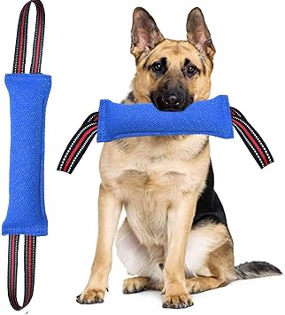 Clysoru Tug Toy for Dogs Tug of War Dog Toy with 2 Strong Red Band Handles Lasting Training Equipment Puppy to Large Dogs Interactive Toy Best for Tug of War Pull Indestructible Rope Toys Blue