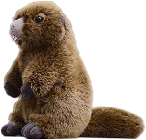 FRANKIEZHOU Animal de peluche realista de marmota, marrón de 9 pulgadas, juguete de peluche de marmota, juguete suave para niños, niñas, regalos