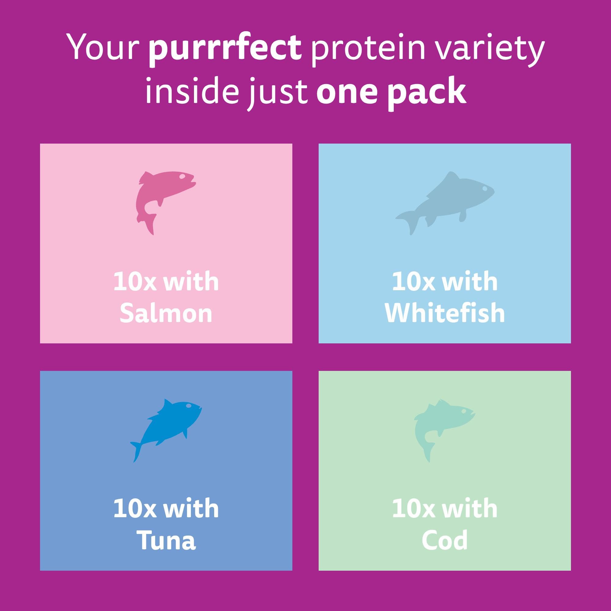 WHISKAS Adult Wet Cat Food in Jelly 40x85g Fish Favourites