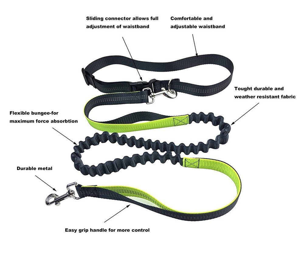 Peting Multi Function Hands Free Nylon Hundeleine mit reflektierenden Bungee Bundled mit Hund Abfall Dispenser und Taschen Perfekt für Laufen, Walking, Training
