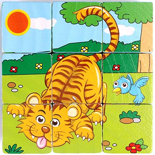 Image of FunBlast 6-in-1 Wooden Block Puzzle for Kids, 9-Pcs Colorful Wooden Block Toy for Kids, Picture Puzzle- Multi Color