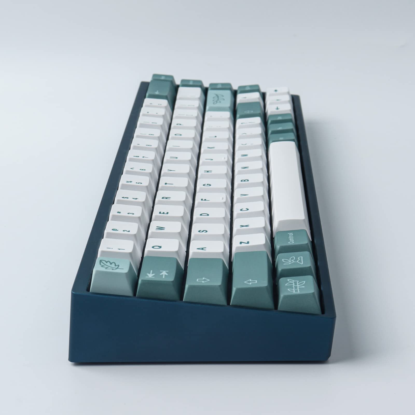 Sunzit PBT Keycaps 100 Touches Cherry Profile Dye Sublimation Botanical Keycaps pour Disposition ISO/ANSI 61/64/68/87 Gateron MX Commutateurs Clavier mécanique