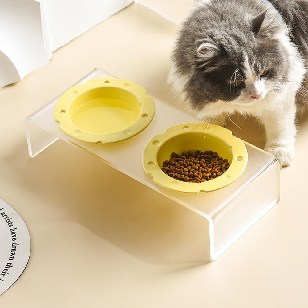 Pet Bowls, Food and Water Pet Feeding Bowl, Ceramics Raised Dog Bowls with Acrylic Stand, Elevated Dog Bowl for Small Medium Dog(Purple)