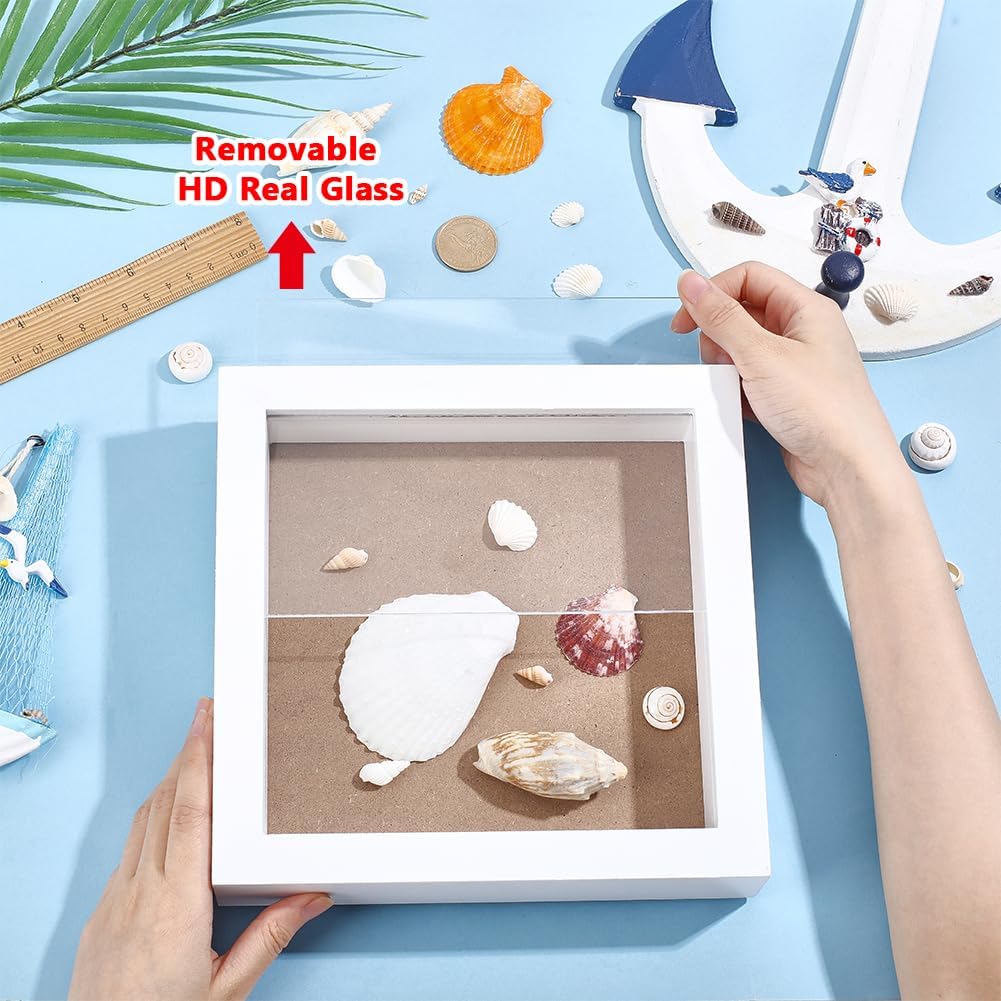 PH PandaHall Wooden Seashell Display Box 8x8 inch Seashell Collection Shadow Box Frame White Shell Holder Case with Visible Acrylic Window for Beach Decor Home Coastal Decor Shells Collection Display