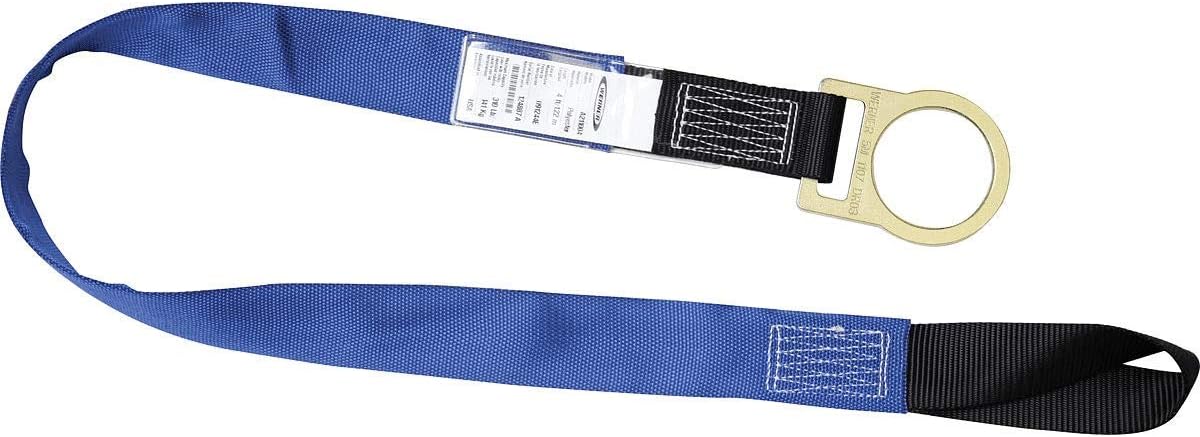 Werner A211004 4-Foot Concrete Pour-In Disposable Anchor Strap (Loop, D-Ring), 1per Pack