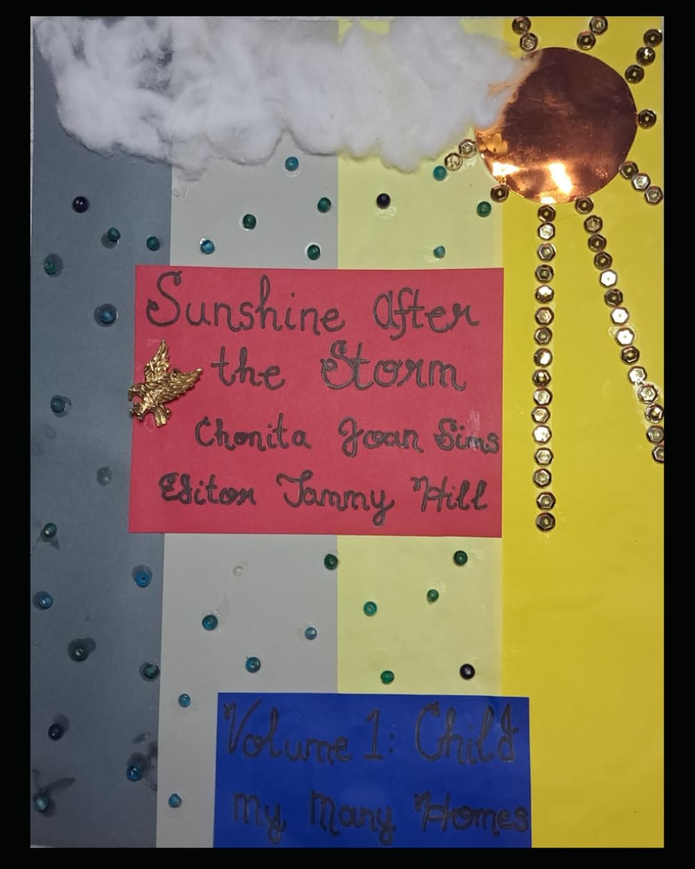 Sunshine After the Storm Volume 1 Child My Many Homes