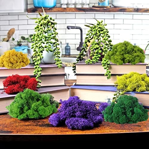 IHKFILAN Reindeer Moss 100g Real Preserved Natural Moss for Crafts, Decorative Moss for Easter Decoration, Model Making (Lemon Green, 3.5OZ)