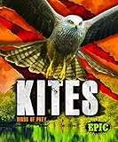  KITES: Birds of Prey