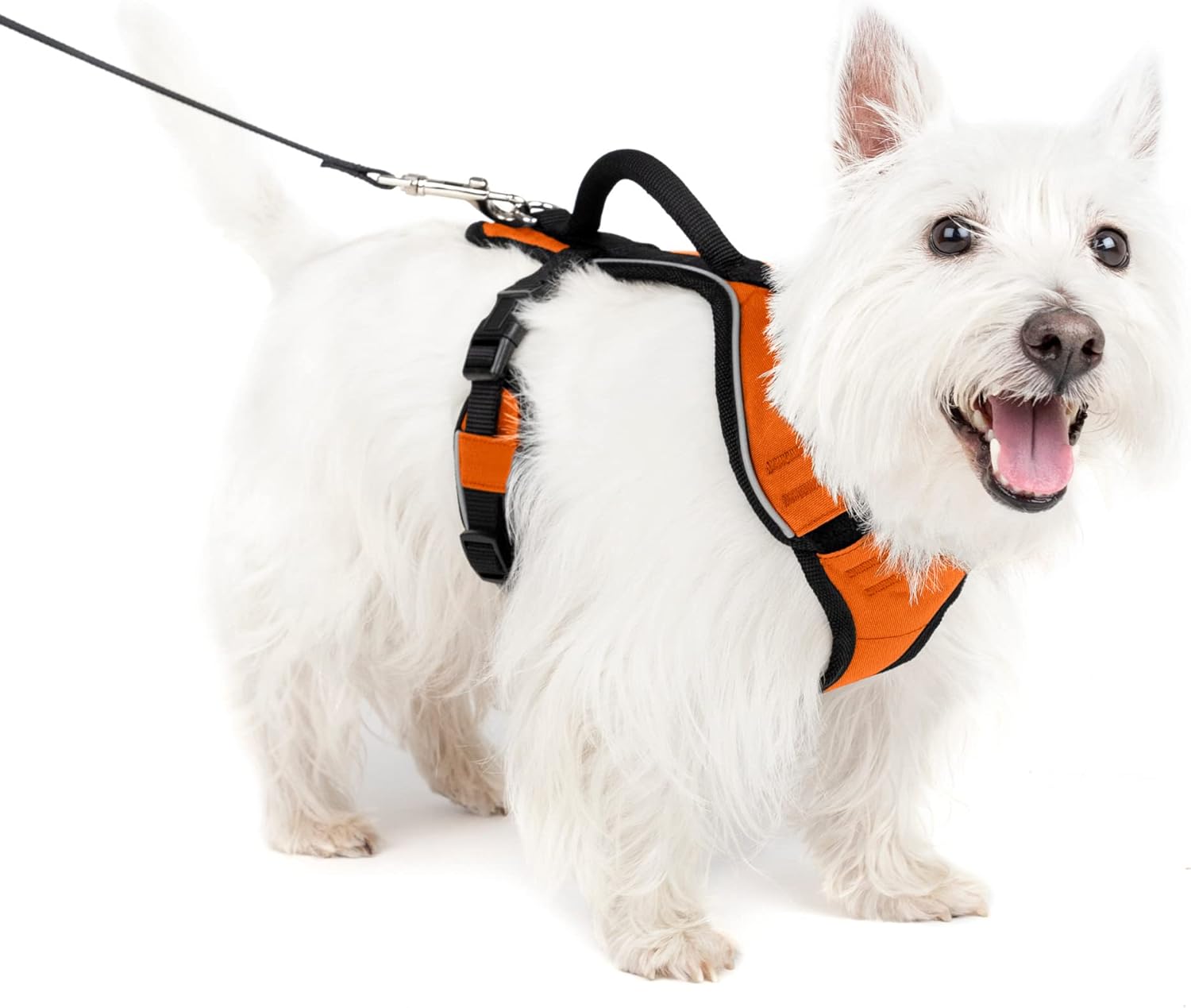 PetSafe EasySport Harness, Adjustable Padded Dog Harness