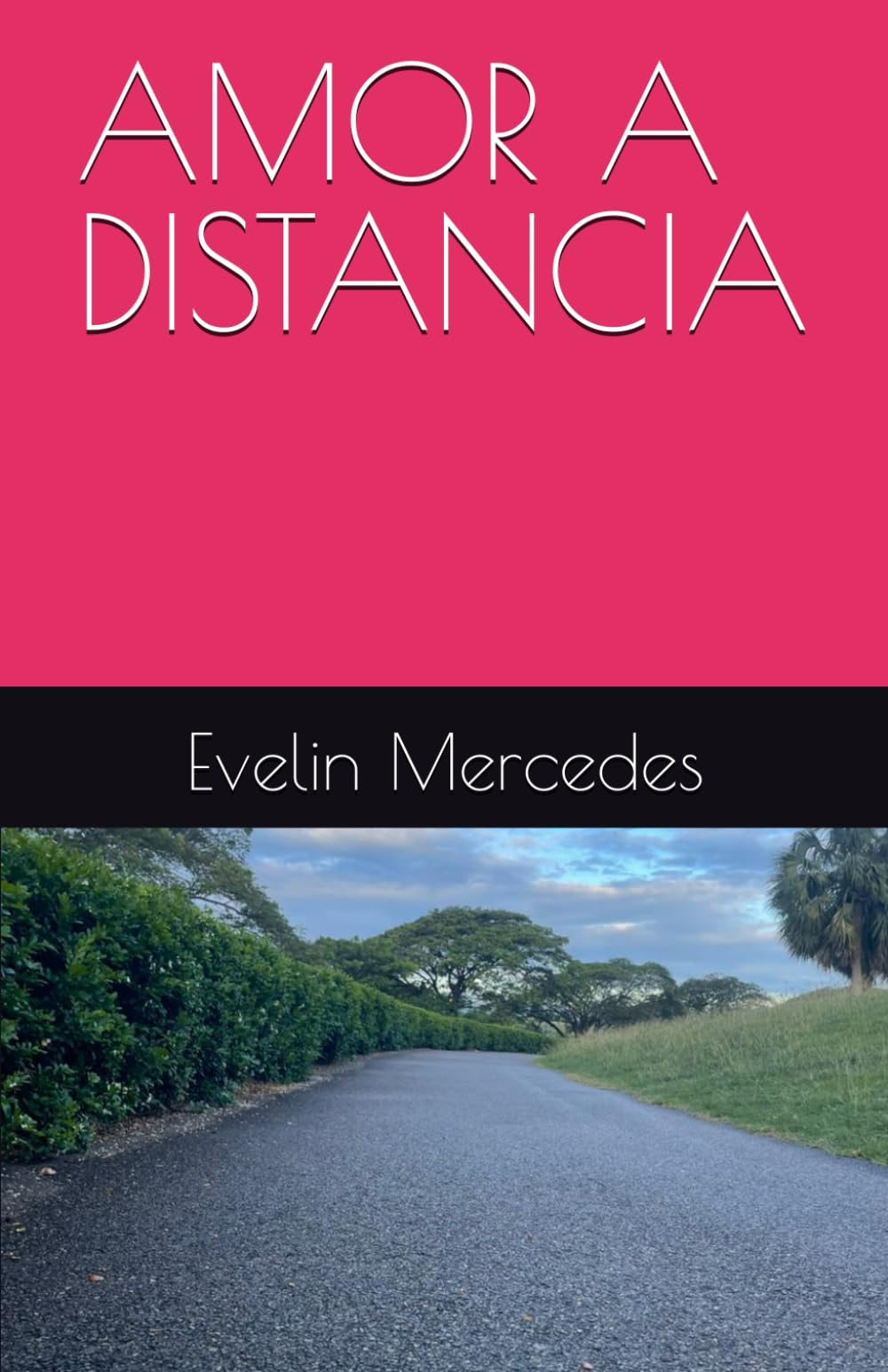 AMOR A DISTANCIA