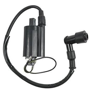 Amazon.com: LSSOCH New Ignition Coil AM120732 21121-2083