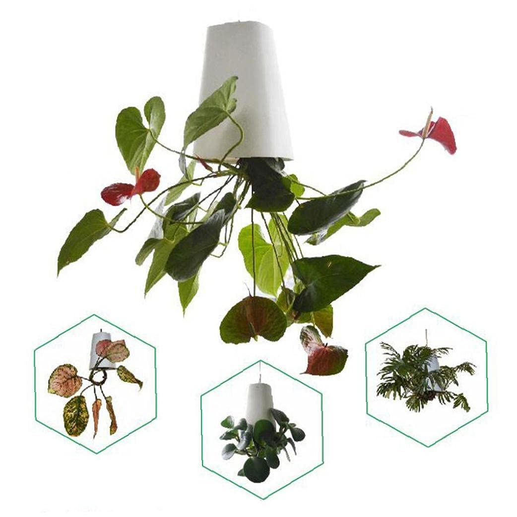 Amazon.co.jp: BLOSSOMLIFE ハンギングプランターポット 逆さま