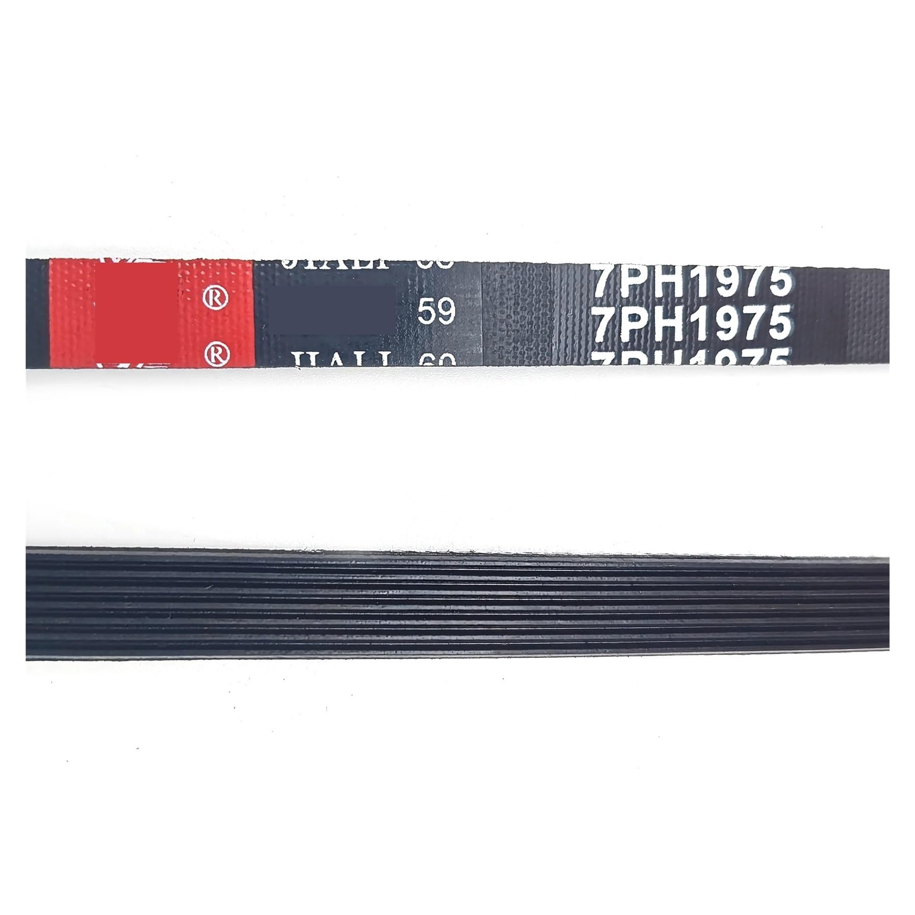 Courroie de transmission pour sèche-linge compatible avec Samsung, compatible avec ELECTROLUX, compatible avec AEG, 1975 H7 7PH1975 DC66-00121A Pièces de machine à laver