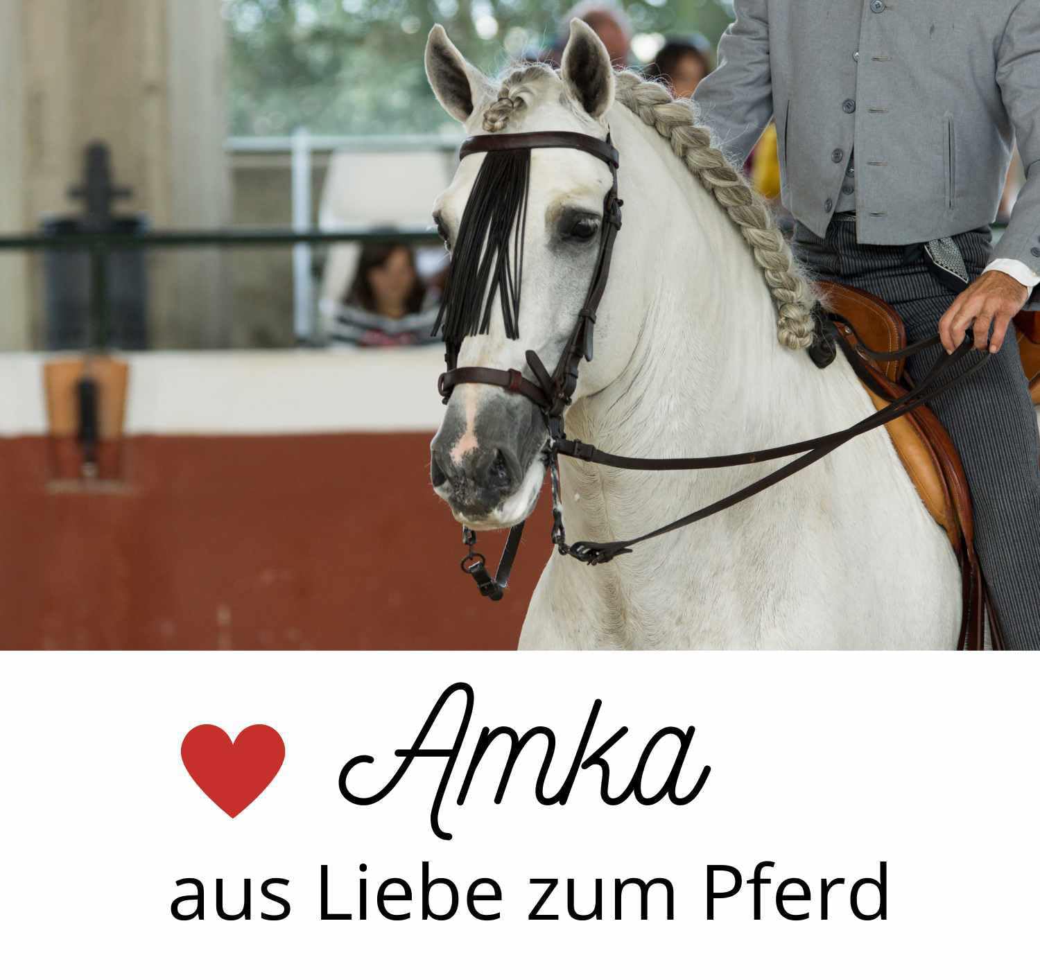 AMKA spanische Barock Schabracke mit silberfarbener Einfassung - Biese Antik Schabracke