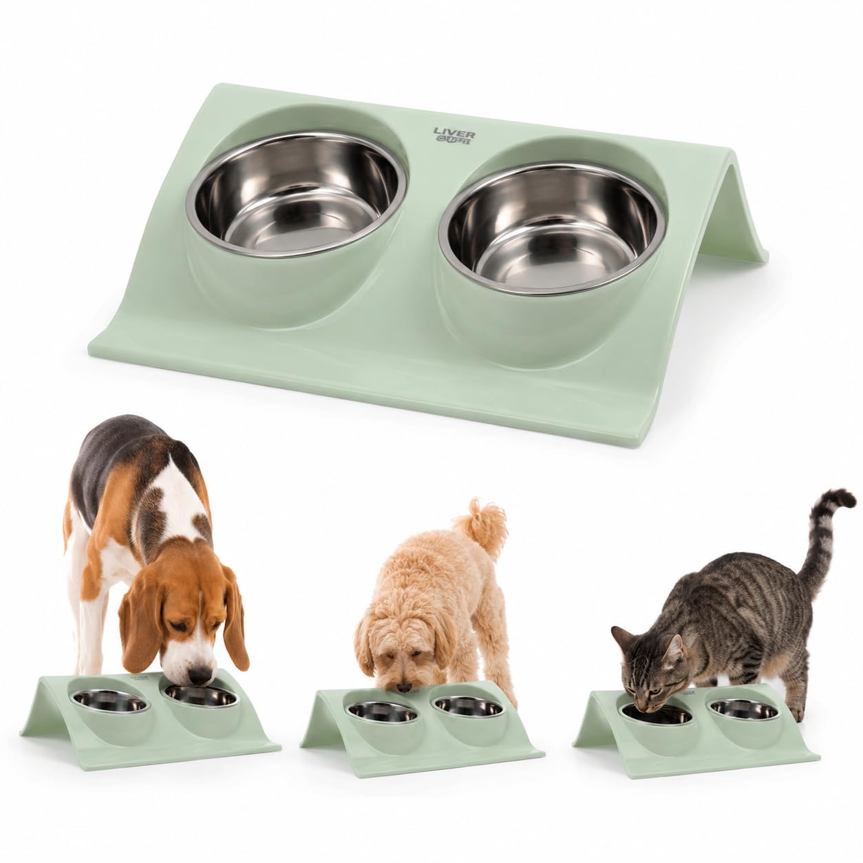 Elevated Dog food Bowl Set - Raised Feeding Bowl/Stainless Steel Dog Bowl For Small/Medium/Large Dogs - Non Slip Stainless Steel Bowls, Non-Slip, Easy To Clean Stainless Steel Bowl