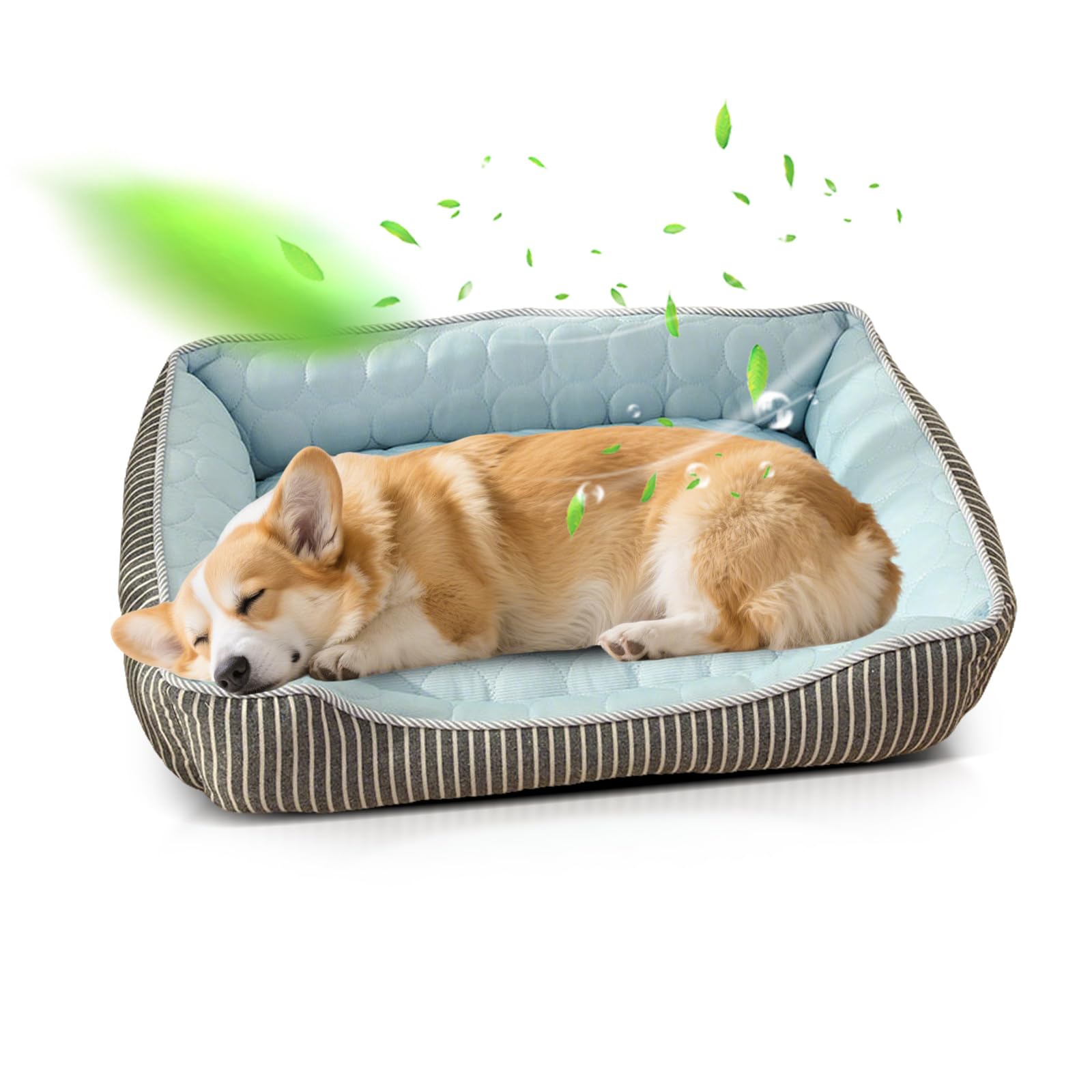 PETCUTE Lit Orthopédique pour Chien de Taille Moyenne,Anti-anxiété,Frais Paniers pour Chiens avec Fond Antidérapant,Lavable Canapé pour Chien Grande Taille,Convient pour l'été(Bleu,L)