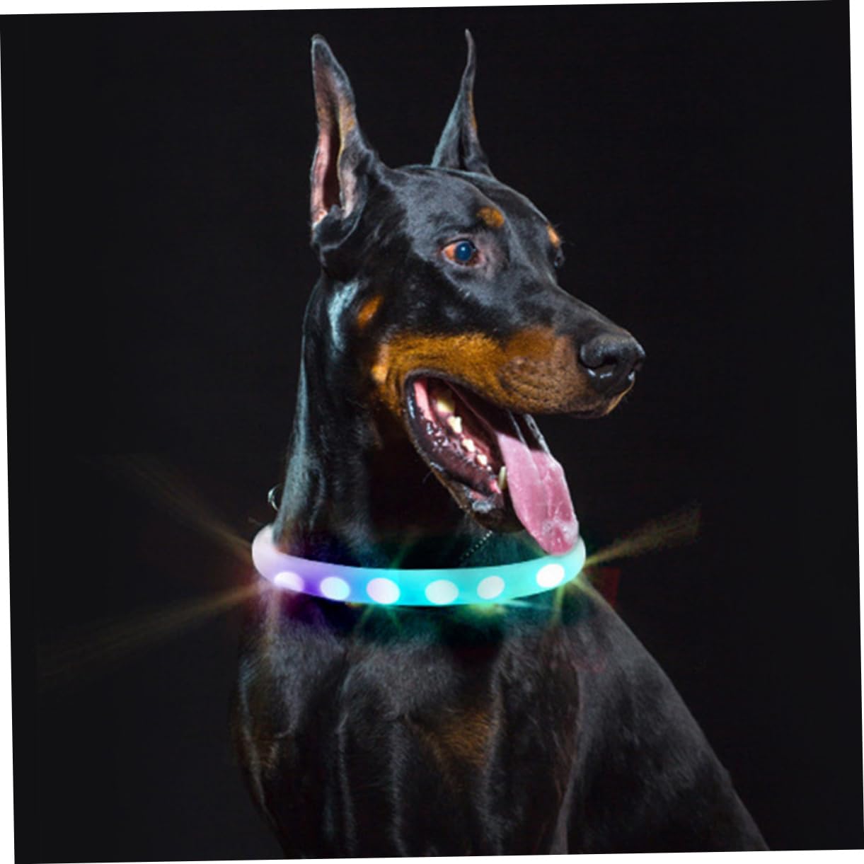 Collar Led para Perros De Noche Collar para Mascotas con Luces Brillantes
