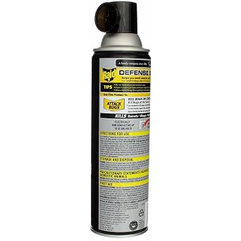 Raid Wasp and Hornet Killer Spray, 14 oz(pack of 3)
