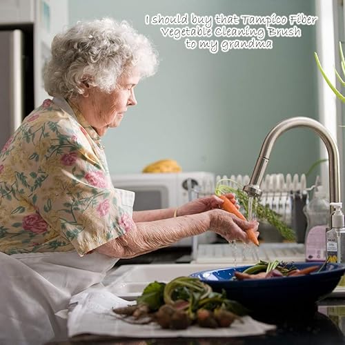 Miniatura 3 de Cepillo para platos con mango de madera, cepillo de cocina natural para platos, verduras, ollas y sartenes, limpiador de cerdas de fibra Tampico,