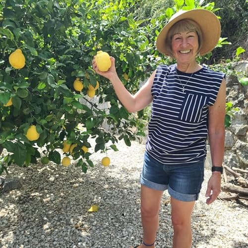 "Transforming Lives Through Social Work &ndash; A Journey of Dedication and Impact"