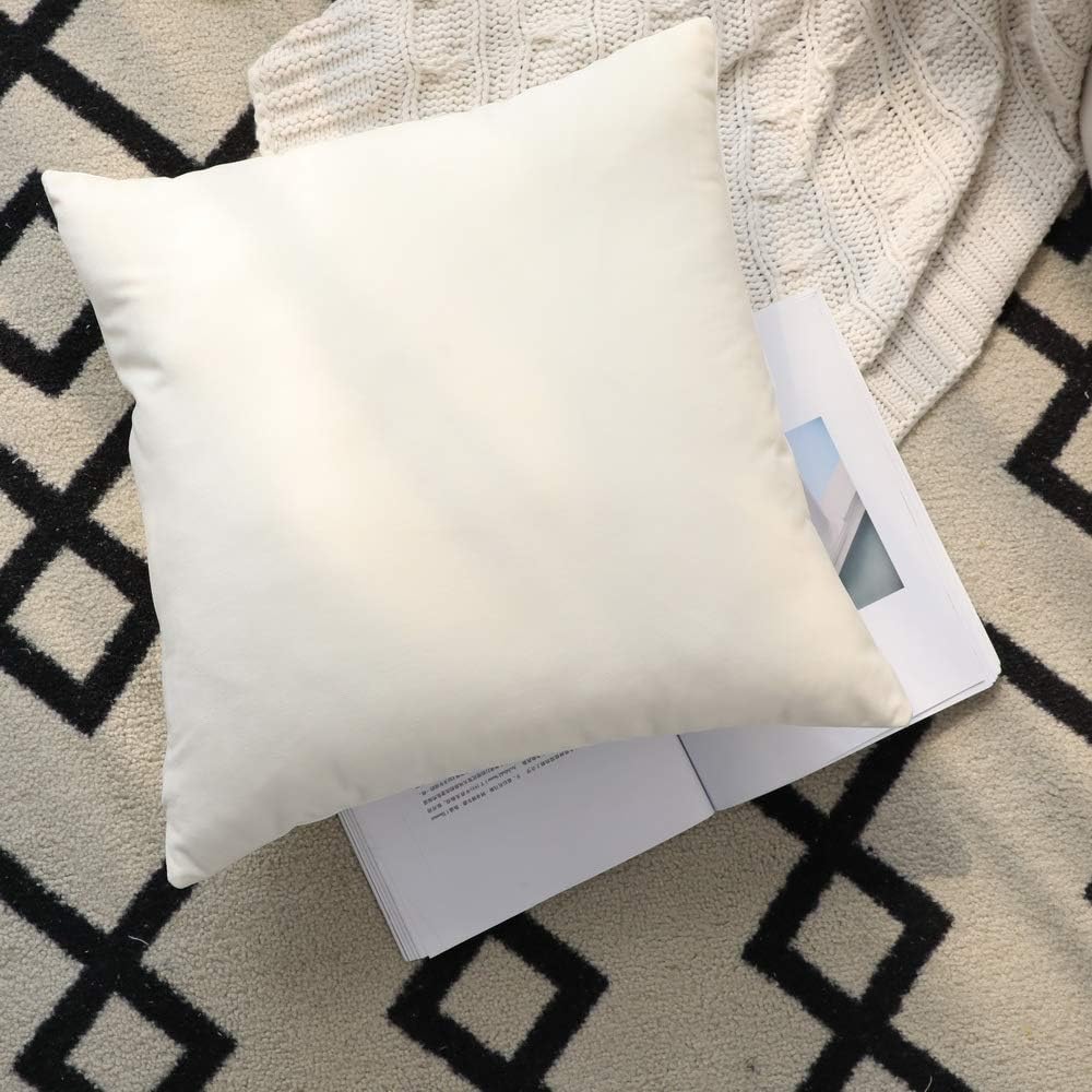 Set of 2 Comfortable Throw Pillow Cover for Bedding, Decorative Accent Cushion Sham Case for Couch Sofa, Soft Solid Velvet with Zipper Hidden - 20"x20", Ivory image 5