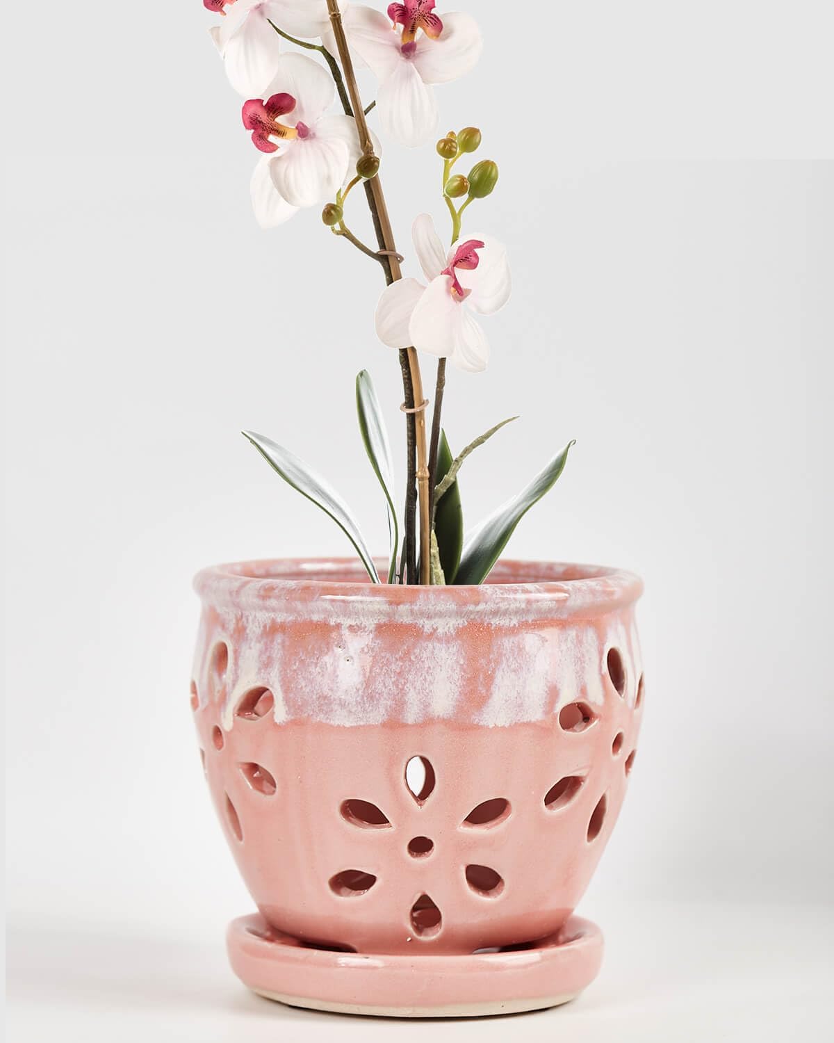 vensovo 5 Inch Ceramic Orchid Pots with Holes and Saucers