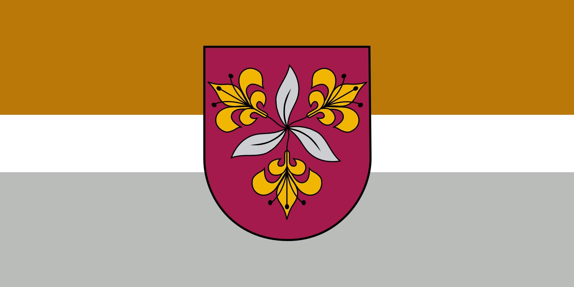 Drapeau Vecumnieku novads pour décoration de salle culturelle