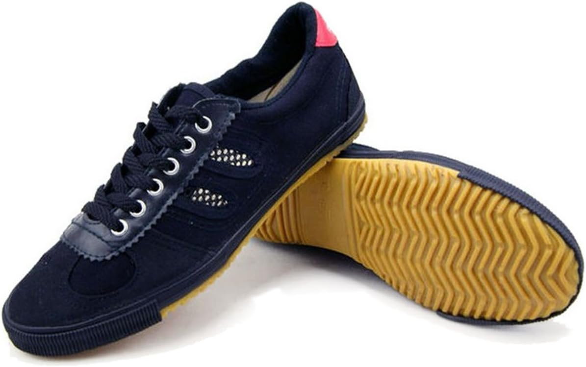 osdreamCanvas Kung Fu Shoes