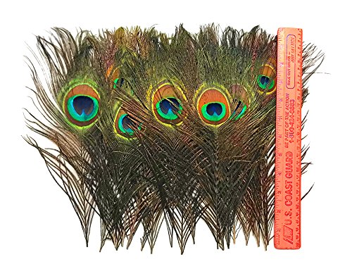 Moonlight Feather | 100 Pieces - Natural Peacock Tail Feathers Wholesale Supplier For Costume, Halloween, Carnival, Wedding Centerpiece #TOP29